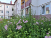2-комнатная квартира, Майская улица, 7. Фото 1